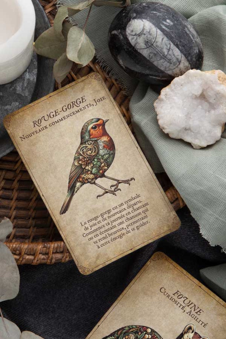 May include: A vintage-style card featuring a detailed illustration of a robin with intricate floral and mechanical designs. The card has French text: "ROUGE-GORGE, NOUVEAUX COMMENCEMENTS, JOIE". The card is part of a set.