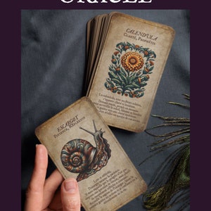 May include: Oracle card deck featuring botanical illustrations and French text. The cards display images of a marigold flower and a snail, with the words "CALENDULA" and "ESCARGOT" visible. The deck is set against a dark purple background.