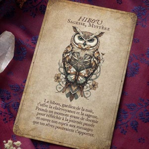 May include: A vintage-style card featuring an owl illustration with a butterfly and floral accents. The card has text in French, set against a burgundy patterned fabric background. The owl is the central focus.
