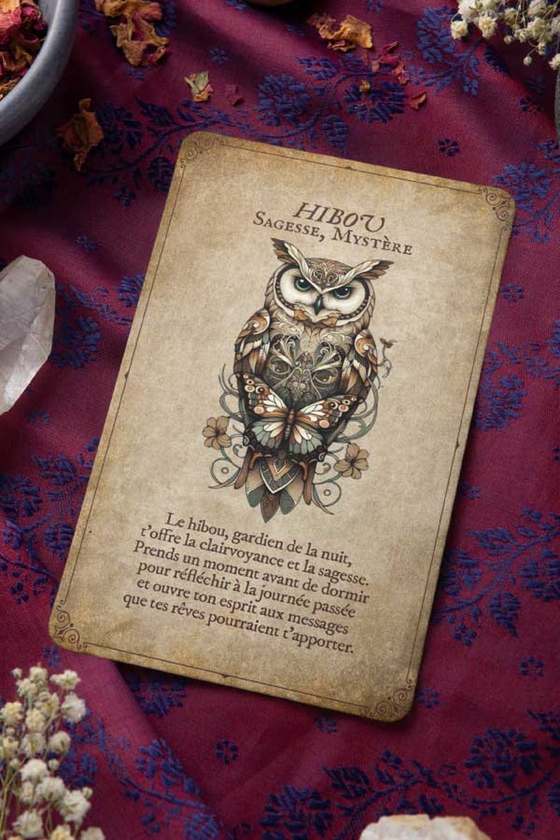 May include: A vintage-style card featuring an owl illustration with a butterfly and floral accents. The card has text in French, set against a burgundy patterned fabric background. The owl is the central focus.