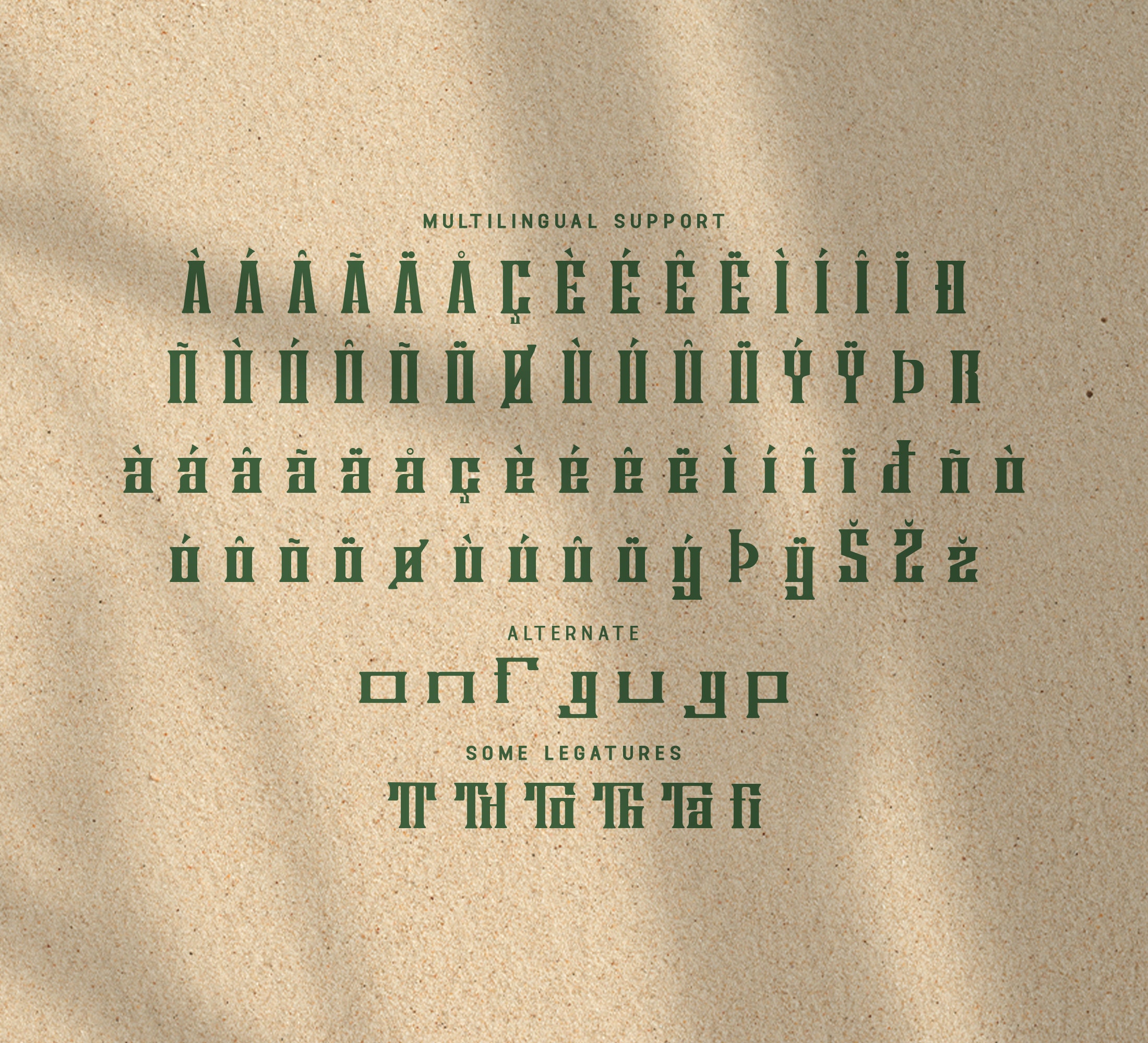 Classic Serif Typeface Borgona Timeless for Elegant Typography - Modern ...