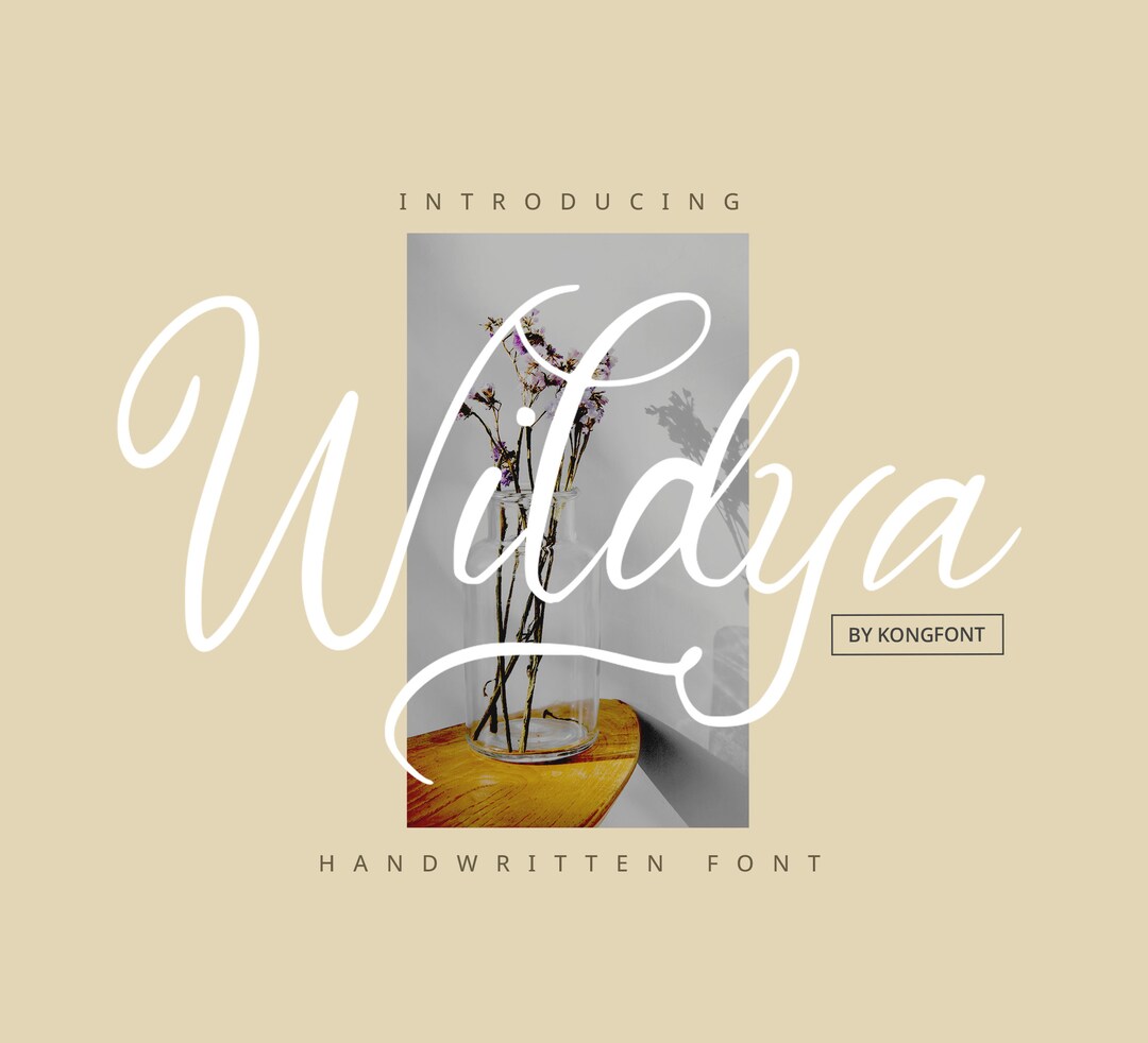 Modern Font, Script Font, Handwriten Font, Wildya Font, Script Typeface ...