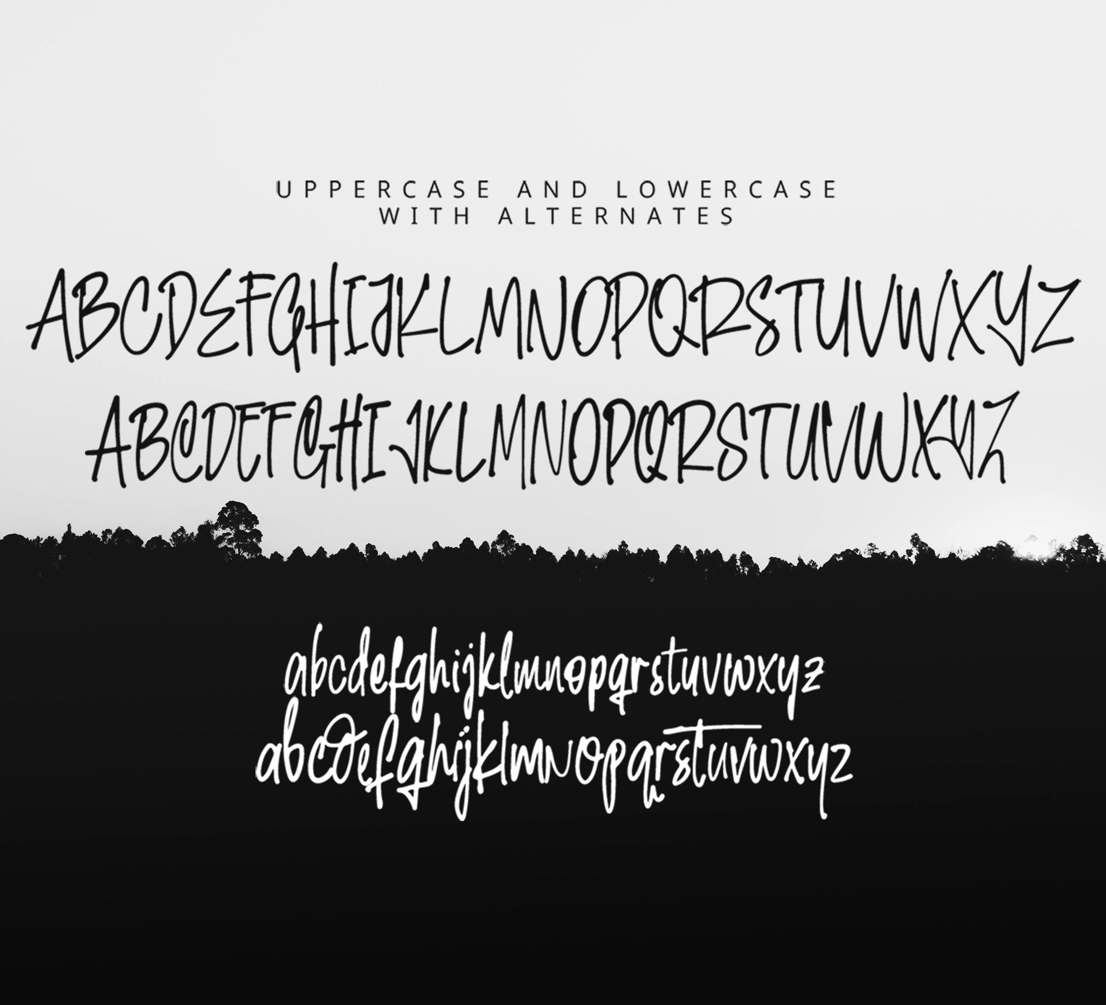 Handicart Script Font, Modern Cursive, Calligraphy Font - Etsy
