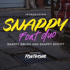 Modern Font, Handmade Font, Style Font, Creative Typography - Bold Brush Font Snappy for Posters and Creative Projects
