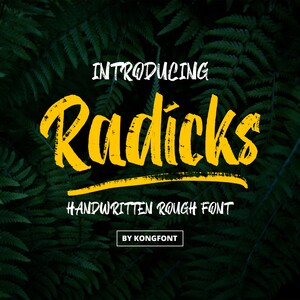 Modern Font, Brush Font, Handwritten Font, Rough Typeface - Radicks Handwritten Rough Brush Font - Bold Typeface for Creative Designs