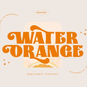 Water Orange Serif Typeface for Dynamic Designs - Modern Font, Serif Font, Elegant Font, Font Style