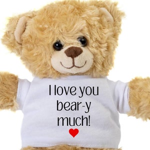 GF Teddy Bear, I Love You Teddy Bear, 10 Inch Teddy Bear, Teddy Bear In Shirt, Teddy Bear Plush, Teddy Bear For Girlfriend, Boyfriend Gift