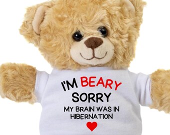 Playful Wife Gift, Thoughtful Im Sorry Teddy Bear, Meaningful Apology Keepsake, Personalized Custom Plush Toy, I'm Sorry Wife Gifts