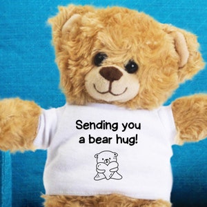 Grieving Friend Gift, Get Well Soon Stuffed Animal, Recovery Gift, Condolences Gift, Miscarriage Gift, Death Of Parent Gift, Loss Of Father