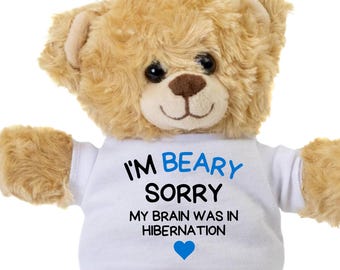 Funny Sorry Gift For Husband, Thoughtful Im Sorry Teddy Bear, Humorous Apology Keepsake, Personalized Custom Bear, I'm Sorry Hubby Gifts