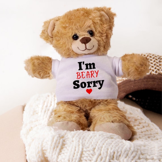 Say Sorry Sorry Presents For Girlfriend Im Sorry Teddy Bear, Im
