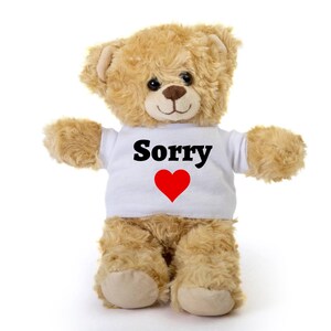 Loss of Mother Gift, Loss of Father Gift, Sorry For Your Loss, I'm Sorry For Your Loss, Teddy Bear, 10 Inch Teddy Bear, Teddy Bear In Shirt