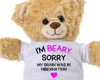 Playful Bestie Gift, Thoughtful Im Sorry Teddy Bear, Meaningful Apology Keepsake, Personalized Custom Plush Toy, I'm Sorry Best Friend Gifts