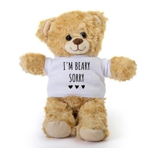 Im Beary Sorry Bear, Sorry Teddy Bear, I'm Sorry Gift For Him, Her, Boyfriend, Women, Teddy Bear For Girlfriend, 10 Inch Teddy Bear