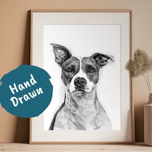 Pencil Drawing Pet Portrait From Photo Custom Hand Drawn Sketch Framed Ready To Hang