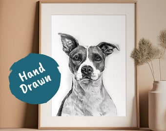 Retrato de mascota a lápiz a partir de una foto. Boceto personalizado dibujado a mano, enmarcado y listo para colgar.