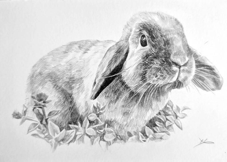 Pencil Drawing Pet Portrait From Photo Custom Hand Drawn Sketch Framed Ready To Hang image 15