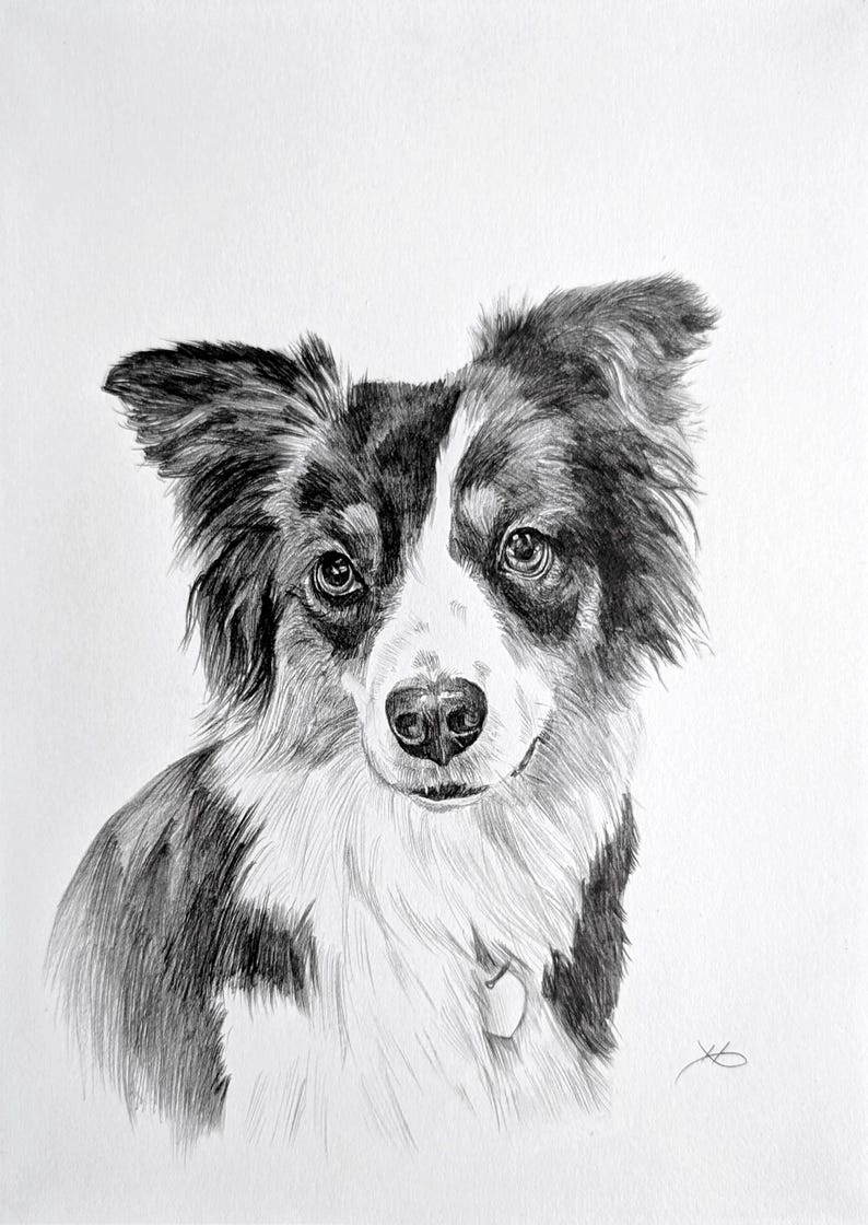 Pencil Drawing Pet Portrait From Photo Custom Hand Drawn Sketch Framed Ready To Hang image 12