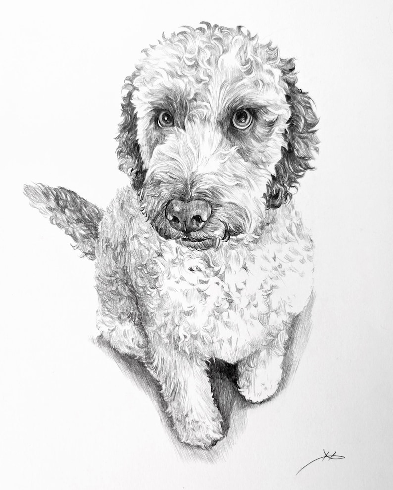 Pencil Drawing Pet Portrait From Photo Custom Hand Drawn Sketch Framed Ready To Hang image 13