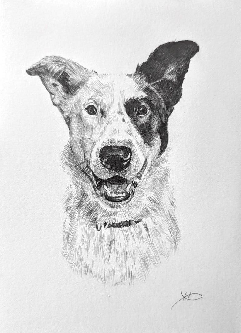 Pencil Drawing Pet Portrait From Photo Custom Hand Drawn Sketch Framed Ready To Hang image 11