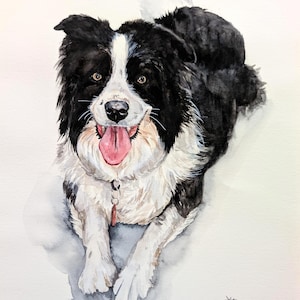 Retrato de mascota en acuarela a partir de una foto, pintura personalizada, pintada a mano, enmarcada y lista para colgar. imagen 13