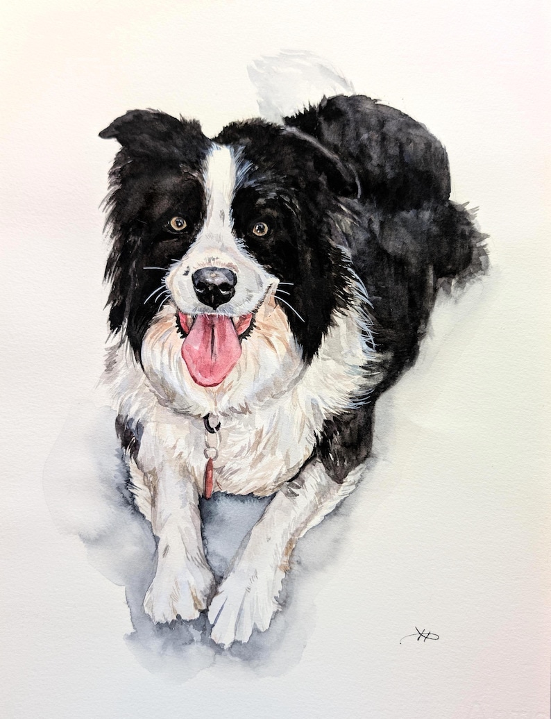 Retrato de mascota en acuarela a partir de una foto, pintura personalizada, pintada a mano, enmarcada y lista para colgar. imagen 13