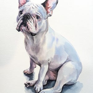 Retrato de mascota en acuarela a partir de una foto, pintura personalizada, pintada a mano, enmarcada y lista para colgar. imagen 3