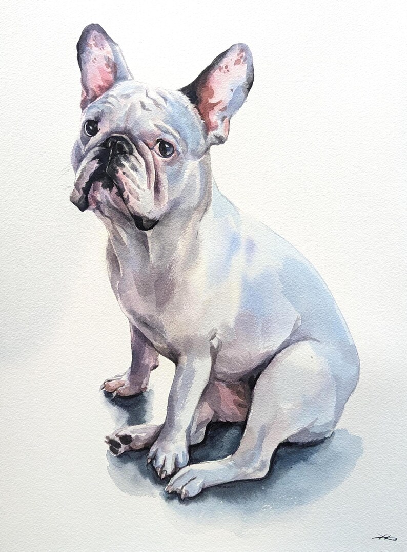 Retrato de mascota en acuarela a partir de una foto, pintura personalizada, pintada a mano, enmarcada y lista para colgar. imagen 3