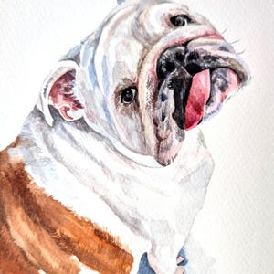 Retrato de mascota en acuarela a partir de una foto, pintura personalizada, pintada a mano, enmarcada y lista para colgar. imagen 10