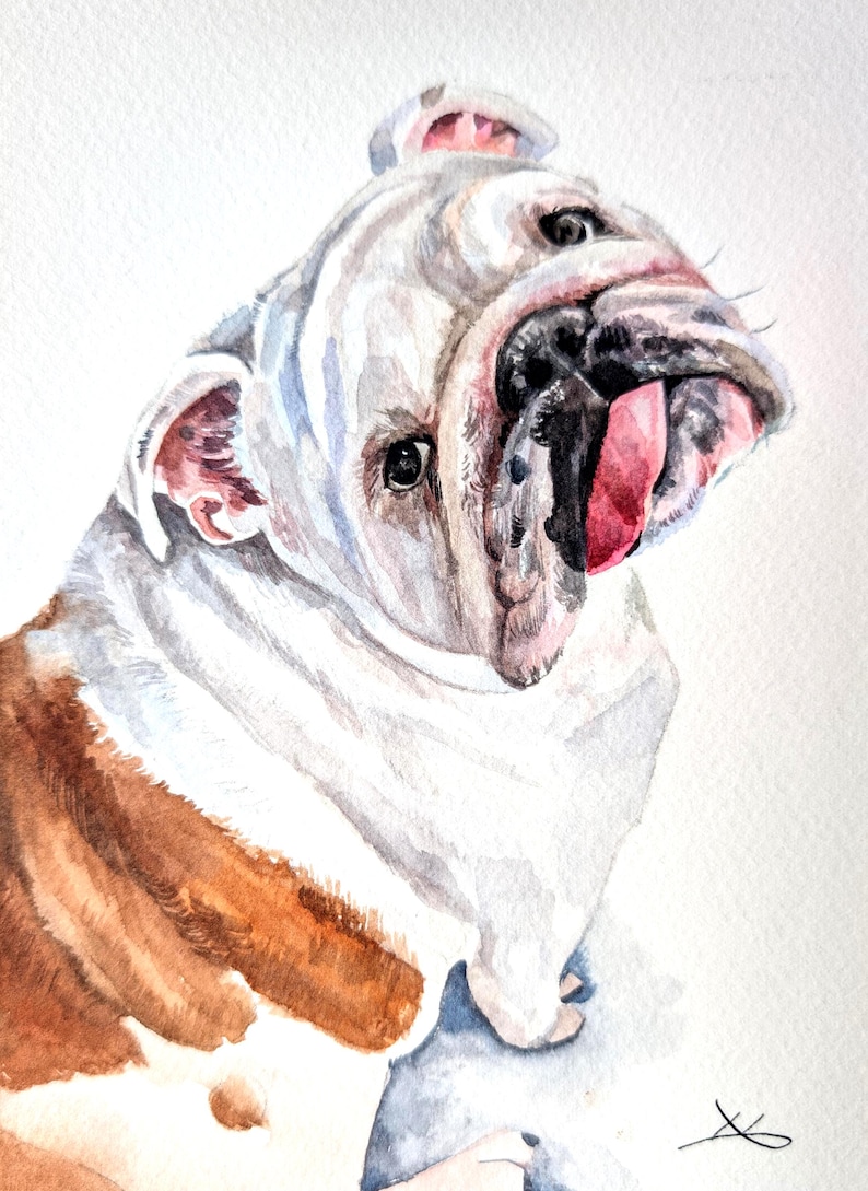 Retrato de mascota en acuarela a partir de una foto, pintura personalizada, pintada a mano, enmarcada y lista para colgar. imagen 10