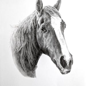 Pencil Drawing Pet Portrait From Photo Custom Hand Drawn Sketch Framed Ready To Hang image 4