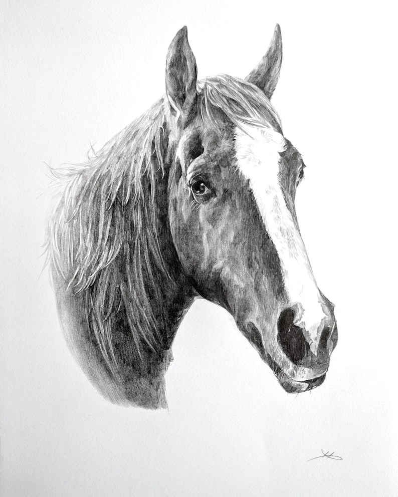 Pencil Drawing Pet Portrait From Photo Custom Hand Drawn Sketch Framed Ready To Hang image 4