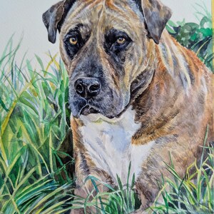 Retrato de mascota en acuarela a partir de una foto, pintura personalizada, pintada a mano, enmarcada y lista para colgar. imagen 18