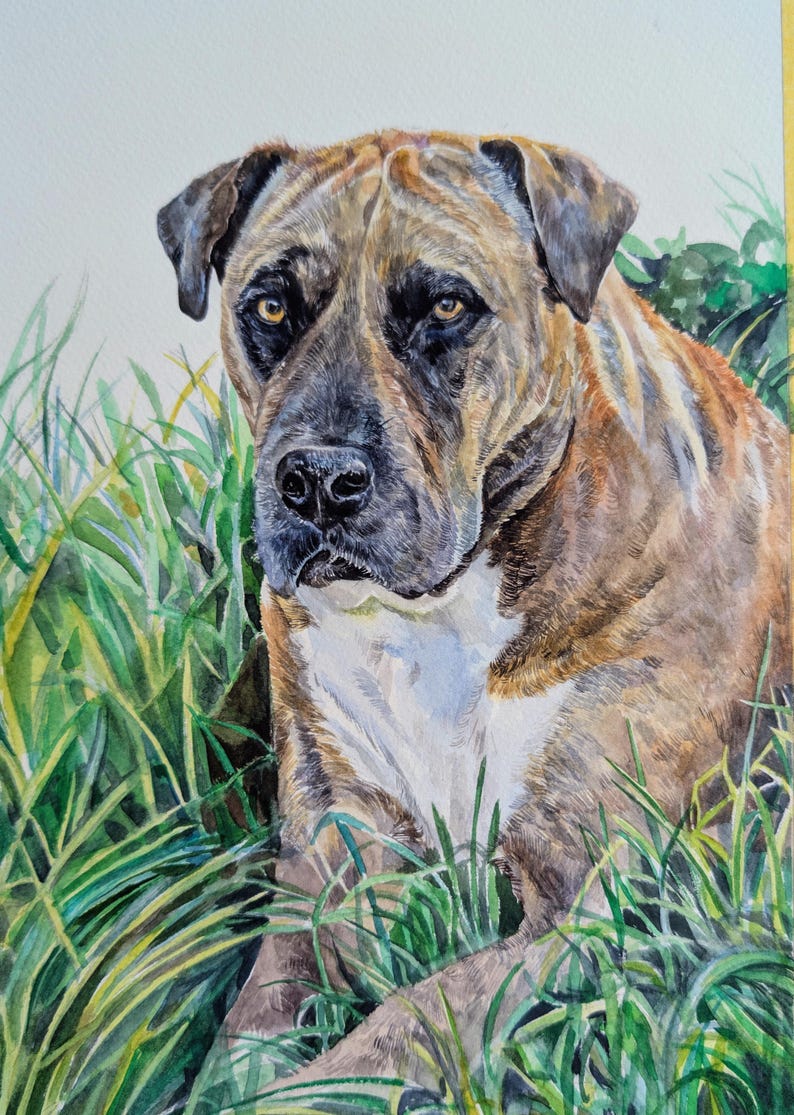 Retrato de mascota en acuarela a partir de una foto, pintura personalizada, pintada a mano, enmarcada y lista para colgar. imagen 18