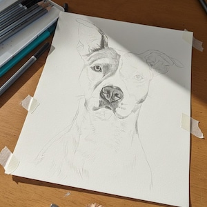 Pencil Drawing Pet Portrait From Photo Custom Hand Drawn Sketch Framed Ready To Hang image 7