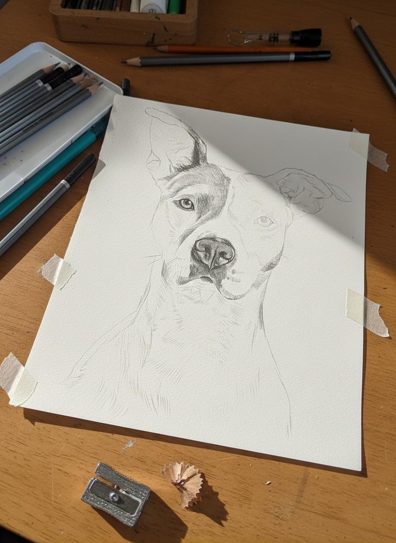 Pencil Drawing Pet Portrait From Photo Custom Hand Drawn Sketch Framed Ready To Hang image 7