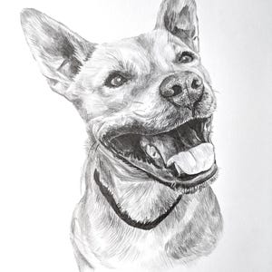 Pencil Drawing Pet Portrait From Photo Custom Hand Drawn Sketch Framed Ready To Hang image 8