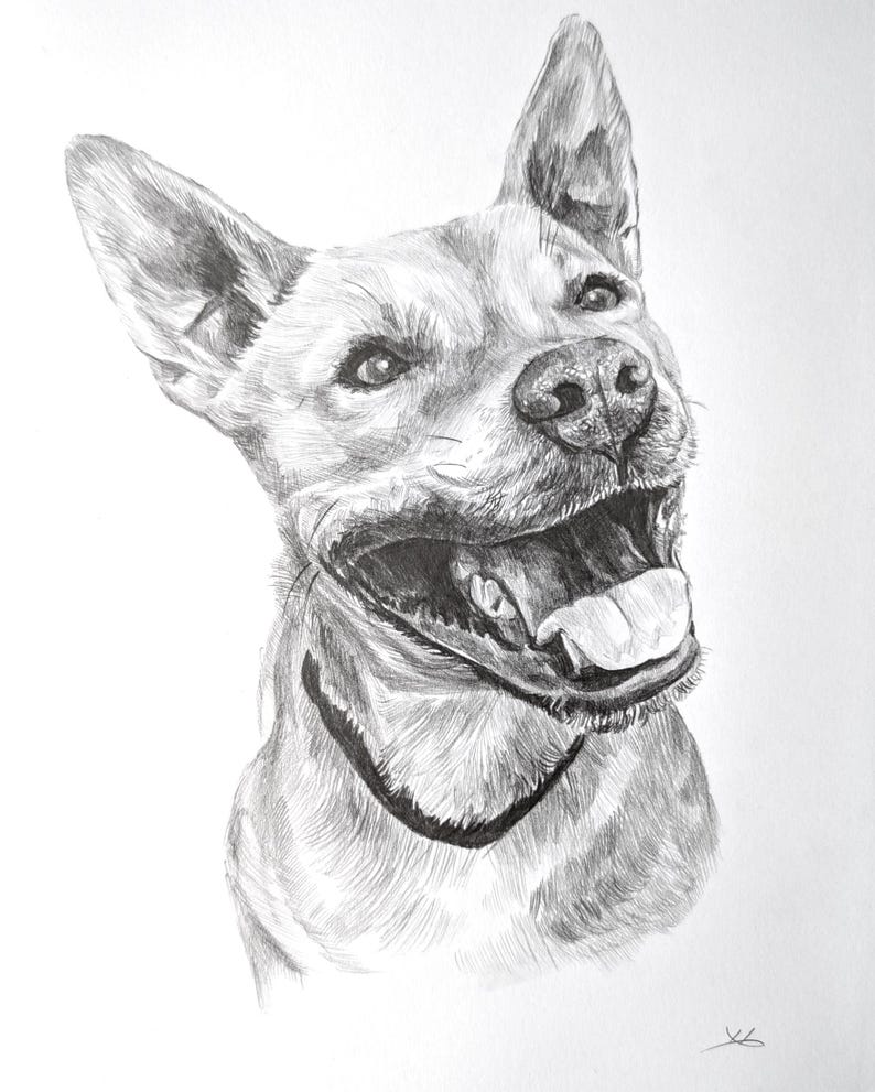Pencil Drawing Pet Portrait From Photo Custom Hand Drawn Sketch Framed Ready To Hang image 8