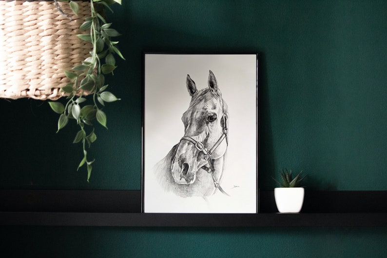 Pencil Drawing Horse Portrait From Photo Custom Hand Drawn Sketch Framed Ready To Hang image 1