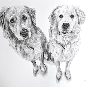 Pencil Drawing Pet Portrait From Photo Custom Hand Drawn Sketch Framed Ready To Hang image 17