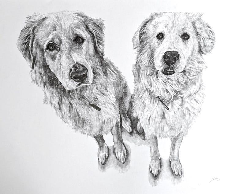 Pencil Drawing Pet Portrait From Photo Custom Hand Drawn Sketch Framed Ready To Hang image 17