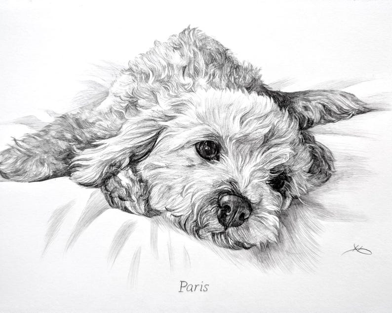 Pencil Drawing Pet Portrait From Photo Custom Hand Drawn Sketch Framed Ready To Hang image 16