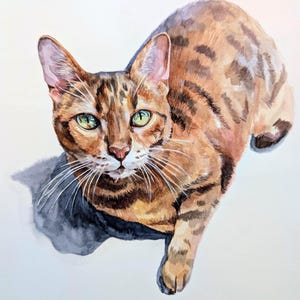 Retrato de mascota en acuarela a partir de una foto, pintura personalizada, pintada a mano, enmarcada y lista para colgar. imagen 8