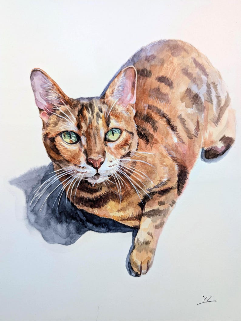 Retrato de mascota en acuarela a partir de una foto, pintura personalizada, pintada a mano, enmarcada y lista para colgar. imagen 8
