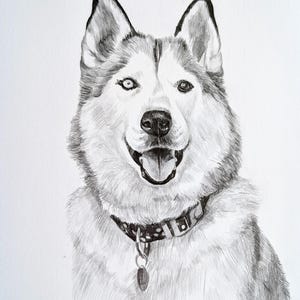 Pencil Drawing Pet Portrait From Photo Custom Hand Drawn Sketch Framed Ready To Hang image 9