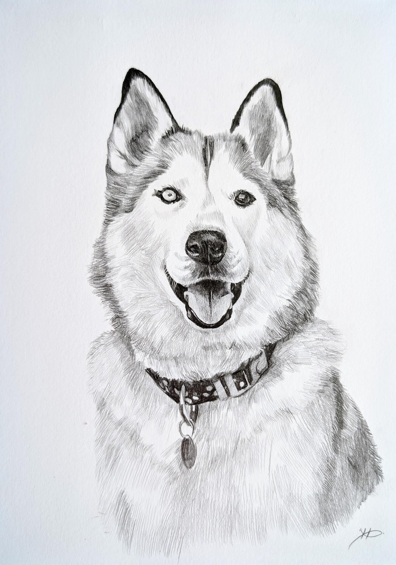 Pencil Drawing Pet Portrait From Photo Custom Hand Drawn Sketch Framed Ready To Hang image 9