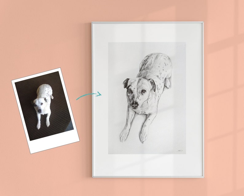 May include: A black and white pencil drawing of a dog in a white frame. The dog is lying down and looking up at the viewer.