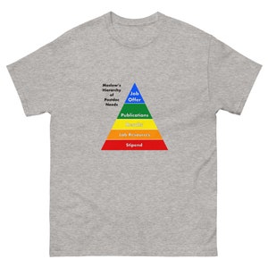 Puede incluir: Camiseta gris jaspeado con un gráfico de pirámide colorida. La pirámide está segmentada en capas etiquetadas como "Stipend", "Lab Resources", "Results", "Publications" y "Job Offer". El texto superior dice "Maslow's Hierarchy of Postdoc Needs".