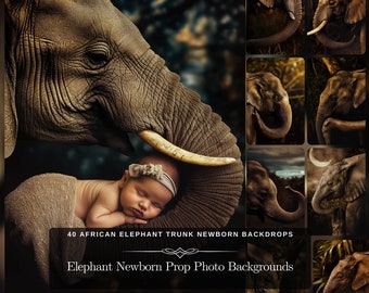 Pasgeboren rekwisieten olifant fotoachtergrond: 40 Afrikaanse olifantenstam pasgeboren achtergrond, foto van dieren in het wild JPG-bestanden bewerken, direct downloaden