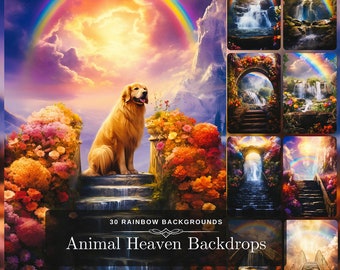 Tier Himmel Hintergründe | 30 Regenbogen Brücke Pet Erinnerung Kulissen Hunde Katzen Haustiere | Erinnerung Bester Freund Porträts | Liebevolle Erinnerung JJPG